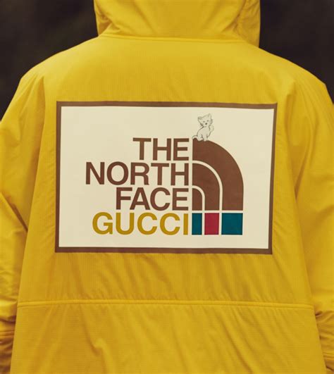 north face x gucci pin|north face x Gucci outlet.